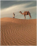 Man with Camel