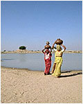 Rajasthan Women