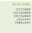 South India